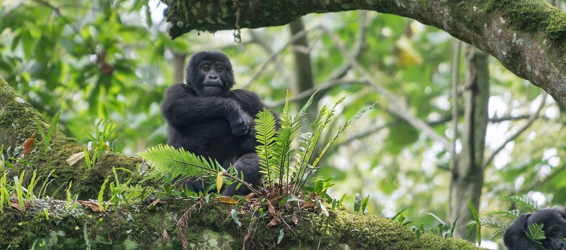 top destinations uganda