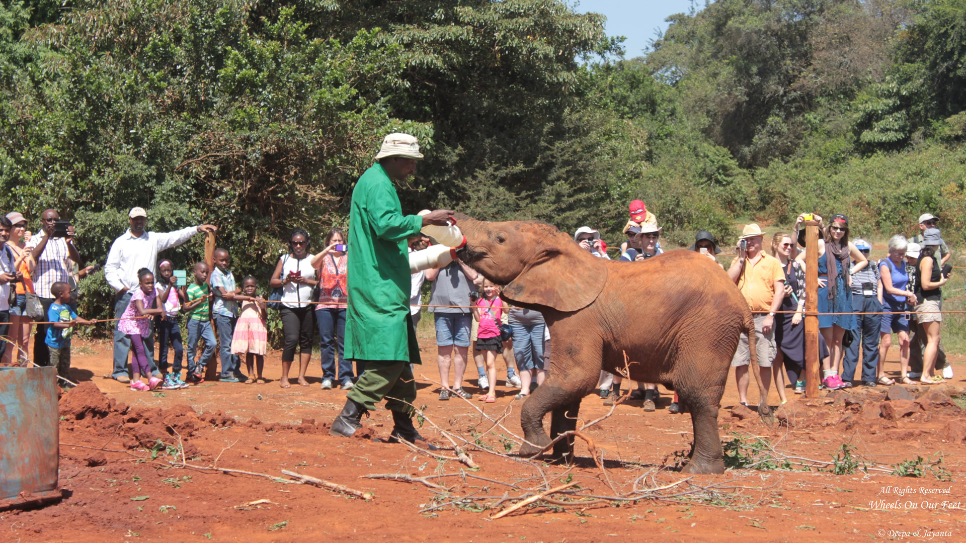 nairobi city tour & david shedricks