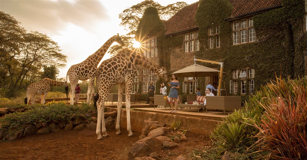 david shedricks, blixen, giraffe center