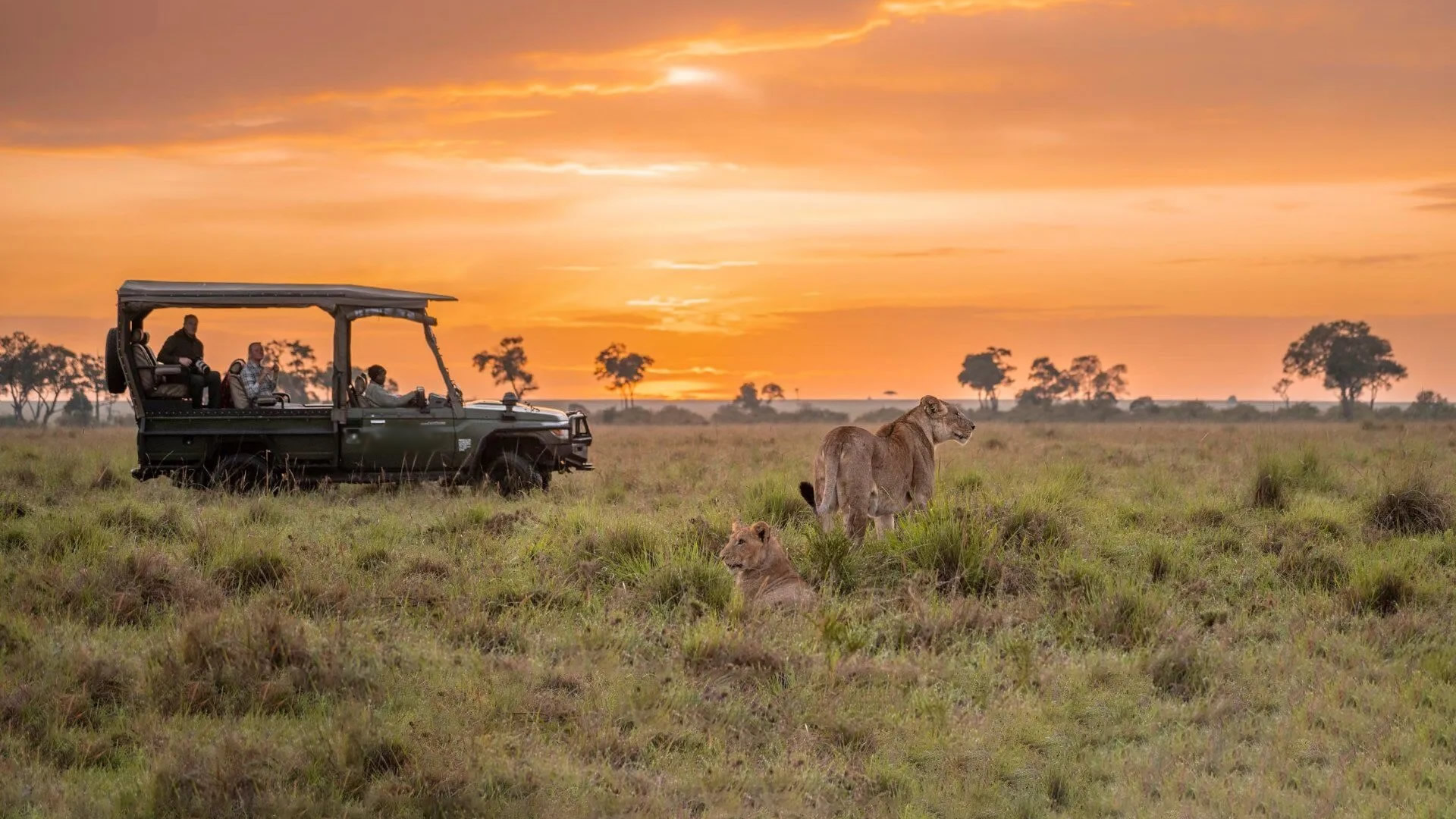 10 Days Heritage Safari 