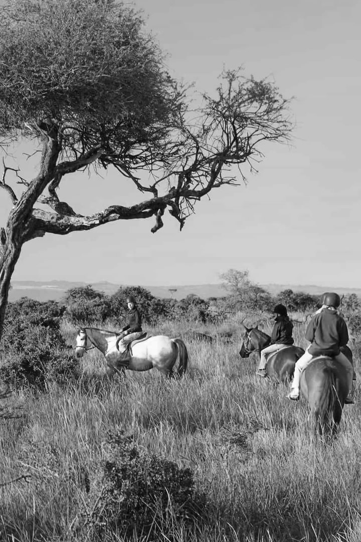 adventure packages